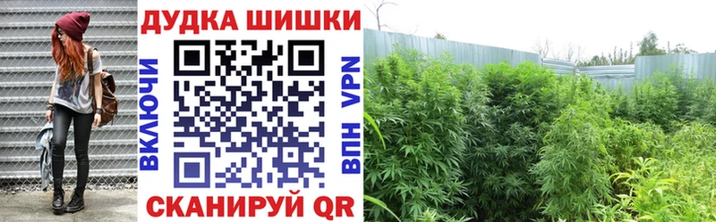Наркошоп купить COCAIN Меф ГАШИШ АМФЕТАМИН Конопля Богородск