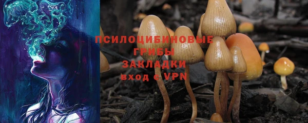 альфа пвп Вяземский